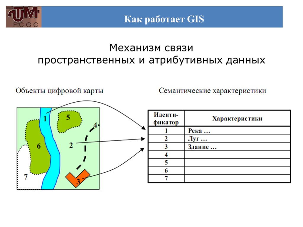 Как работает GIS Механизм связи пространственных и атрибутивных данных